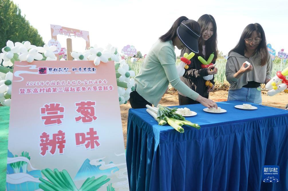 新匍京官网中文网站